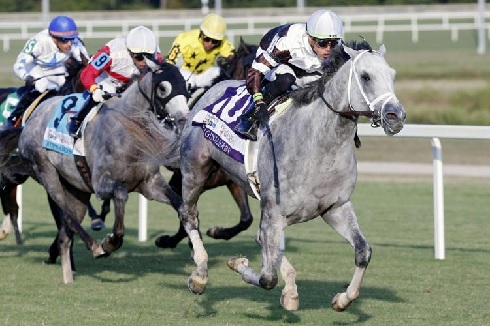 Colonial Downs To Host Virginia Derby: Stone's Announcement Imminent Colonial Downs To Host Virginia Derby: Stone's Announcement Imminent