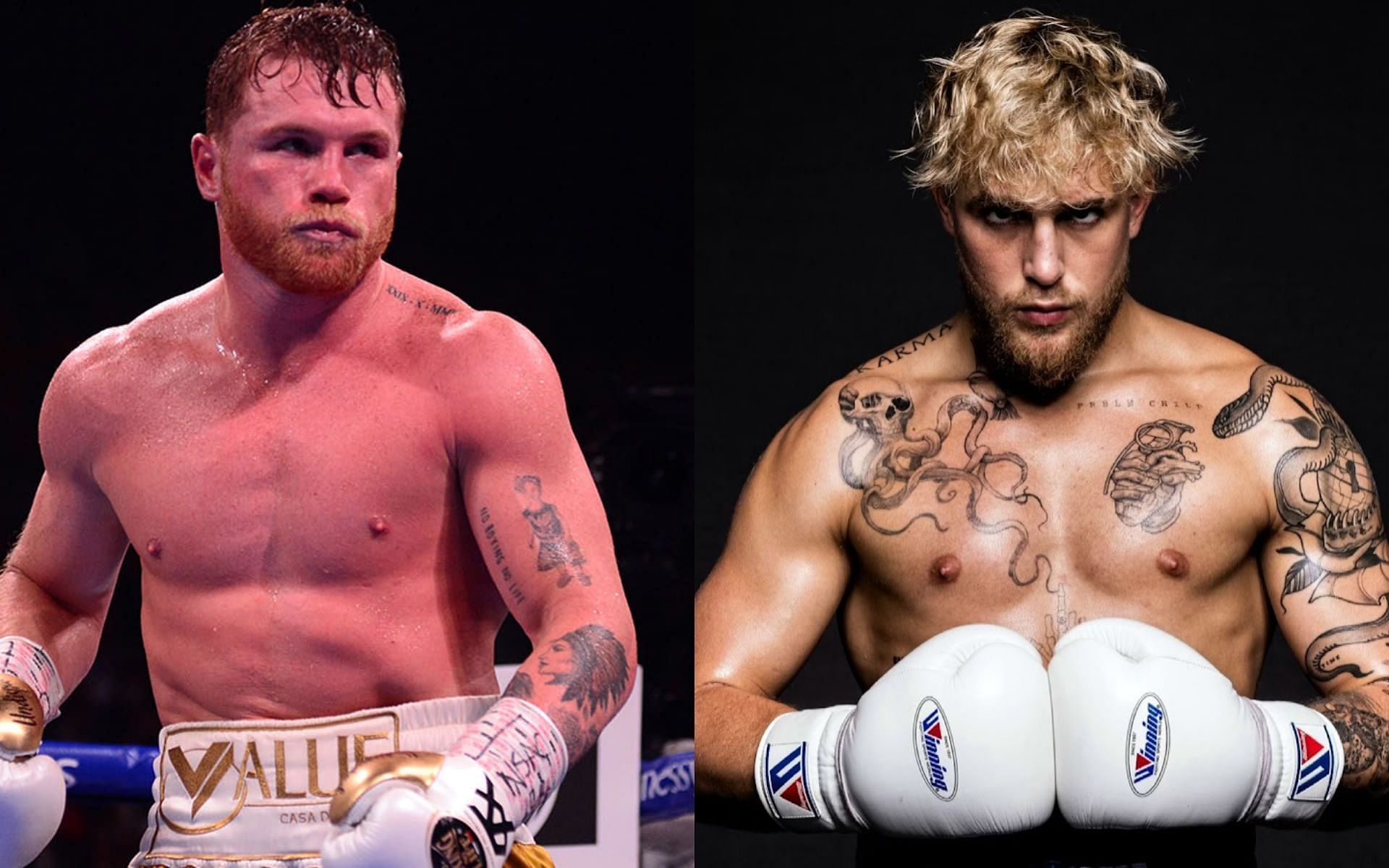 Concise Canelo Alvarez Assessment: Jake Paul And More Concise Canelo Alvarez Assessment: Jake Paul And More
