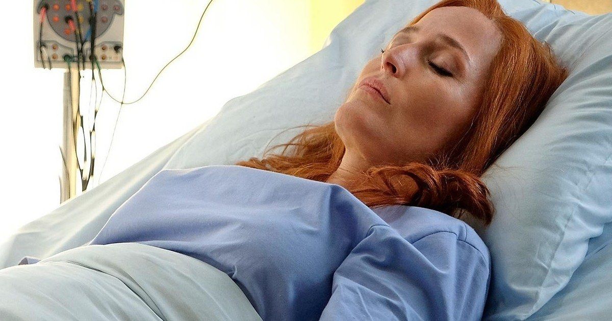 Could Gillian Anderson Reprise Her Role In A New X-Files Series? Could Gillian Anderson Reprise Her Role In A New X-Files Series?