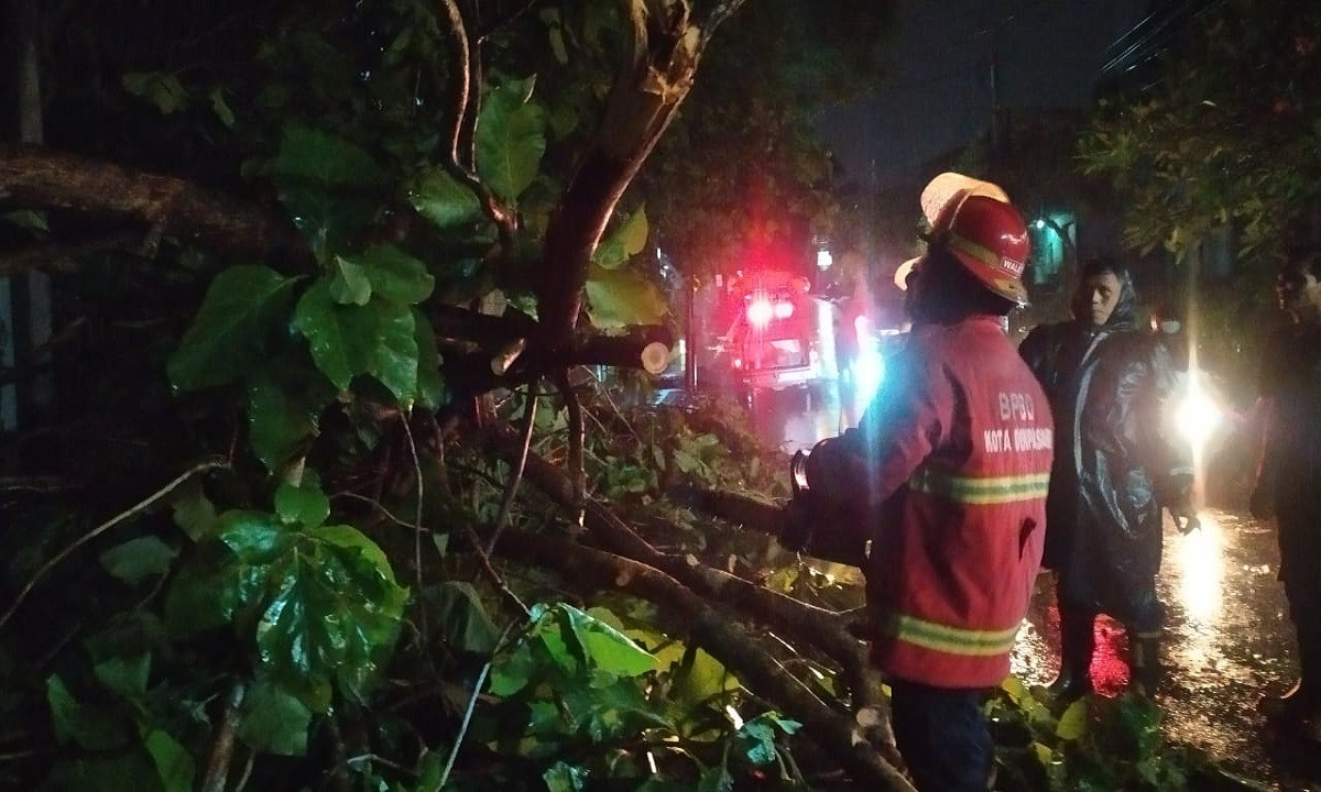 Cuaca Besok Di Denpasar, Bali: Peringatan Hujan Cuaca Besok Di Denpasar, Bali: Peringatan Hujan