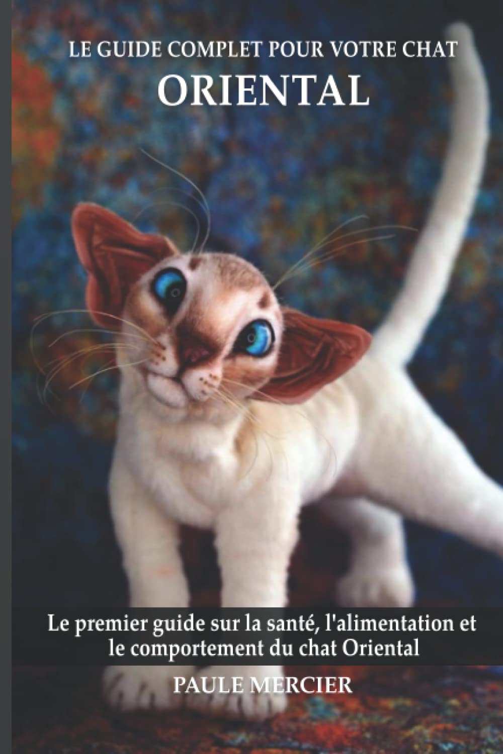 Dans Quoi Investir : Le Guide Complet Pour Vos Placements Dans Quoi Investir : Le Guide Complet Pour Vos Placements