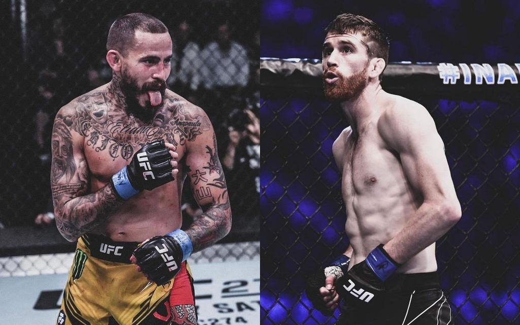 Deiveson Figueiredo Vs. Cory Sandhagen: Fight Predictions, Betting Preview & Odds Comparison Deiveson Figueiredo Vs. Cory Sandhagen: Fight Predictions, Betting Preview & Odds Comparison