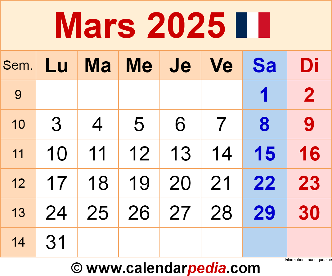 Document VusionGroup AMF CP 2025E1027277: Analyse Du 24 Mars 2025