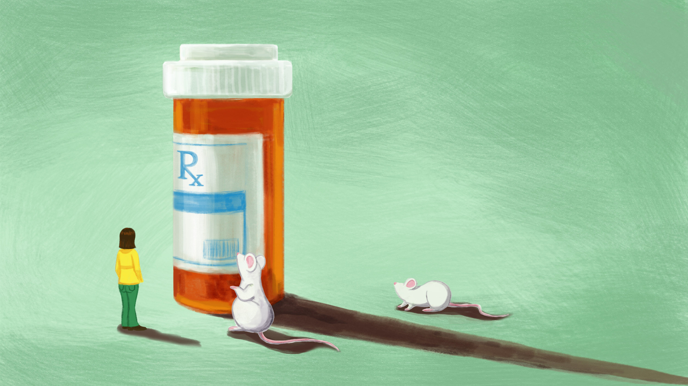 Does The US Government Fund Transgender Mouse Research? A Critical Analysis Does The US Government Fund Transgender Mouse Research? A Critical Analysis