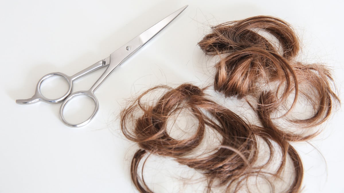 Don De Cheveux Dijon : Pour Une Bonne Cause Don De Cheveux Dijon : Pour Une Bonne Cause
