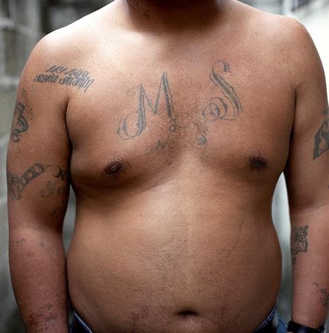 Donald Trump's Misunderstanding Of MS-13 Tattoos: A Calibri Conundrum Donald Trump's Misunderstanding Of MS-13 Tattoos: A Calibri Conundrum