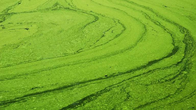 Double Trouble:  Harmful Algal Blooms Hit Kodiak Shellfish Harvesters Twice