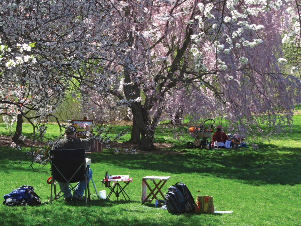 Early Pandemic Refuge: One Woman's Seattle Green Space Experience Early Pandemic Refuge: One Woman's Seattle Green Space Experience