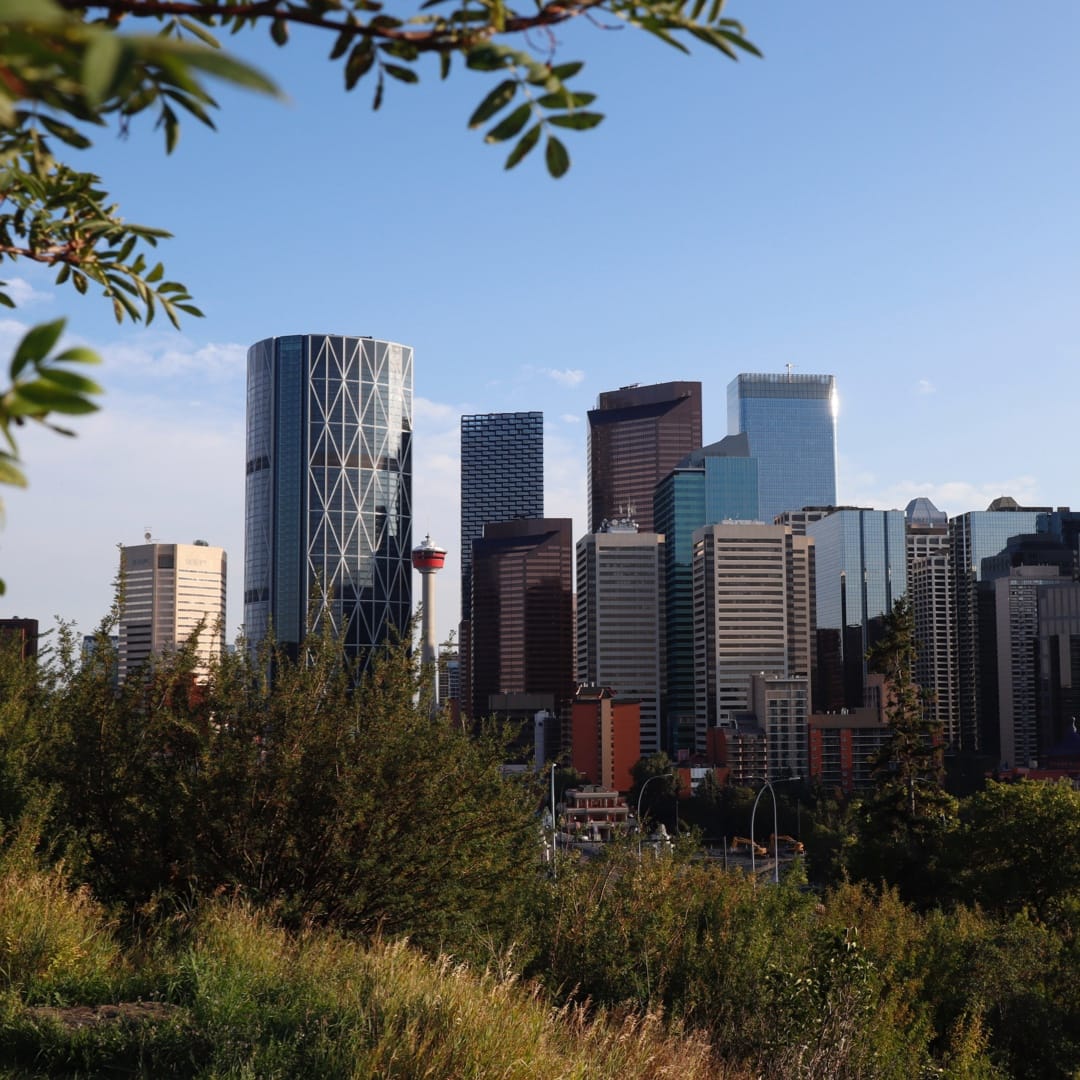Edmonton School Projects: 14 Initiatives To Proceed Rapidly Edmonton School Projects: 14 Initiatives To Proceed Rapidly