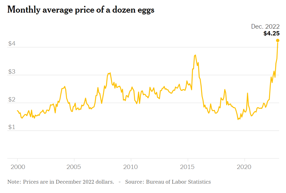 Egg Prices Drop To $5 A Dozen: Relief For Consumers? Egg Prices Drop To $5 A Dozen: Relief For Consumers?
