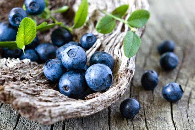 El Superalimento Que Combate Enfermedades Crónicas Y Promueve La Longevidad: Más Allá Del Arándano El Superalimento Que Combate Enfermedades Crónicas Y Promueve La Longevidad: Más Allá Del Arándano