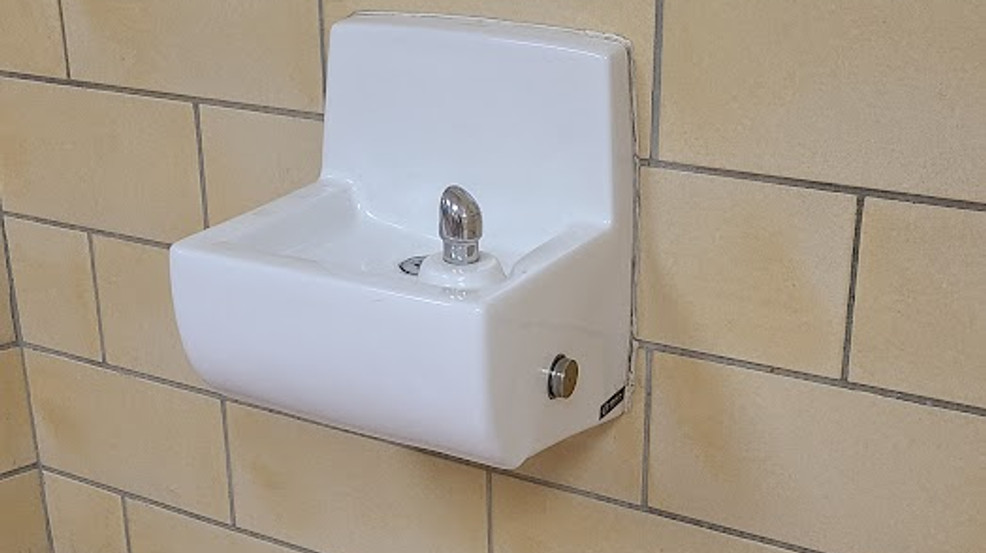 Elevated PFAS Levels In Blue Mountains Water Source: Public Health Alert Elevated PFAS Levels In Blue Mountains Water Source: Public Health Alert
