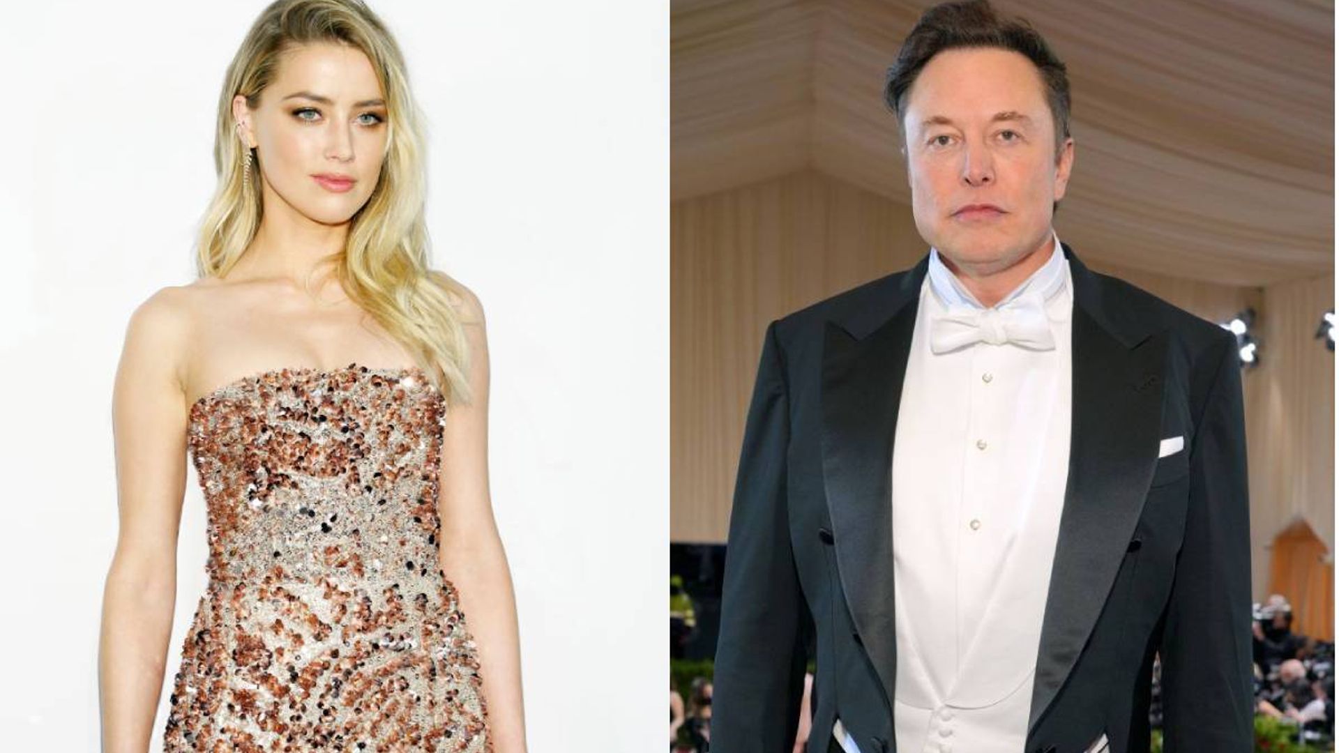 Elon Musk Fathered Amber Heard's Twins? Embryo Dispute Takes A New Turn