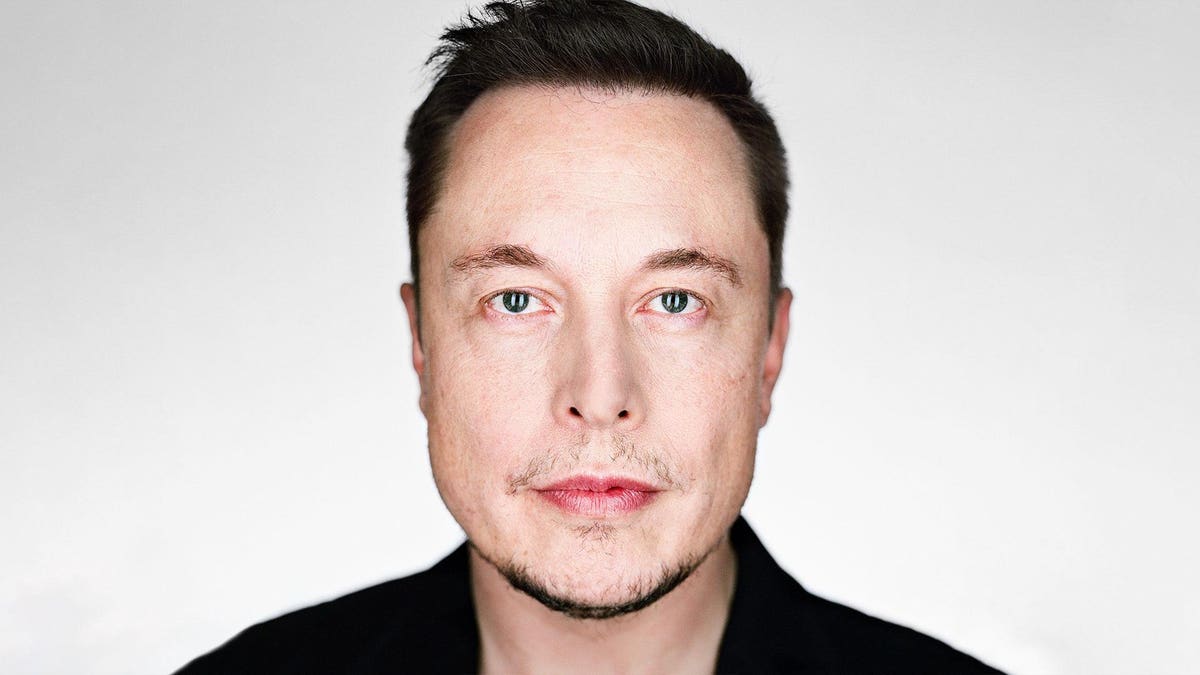 Elon Musk Wealth Increase: Billions Added After Tesla Rally, Dogecoin Step Back Elon Musk Wealth Increase: Billions Added After Tesla Rally, Dogecoin Step Back