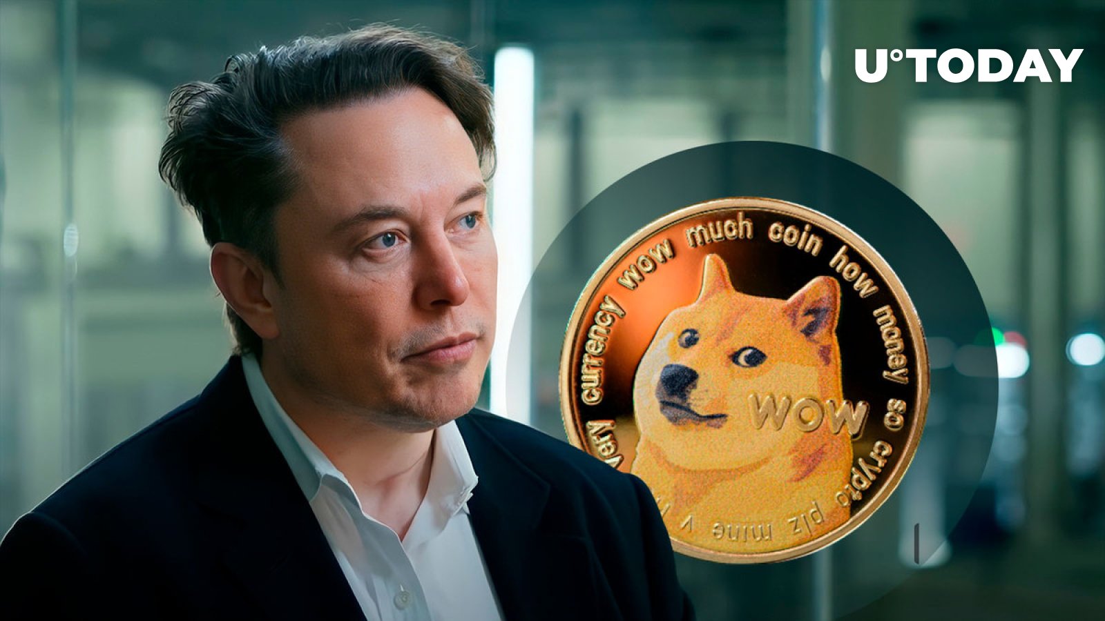Elon Musk's Dogecoin Holdings: A Detailed Look Elon Musk's Dogecoin Holdings: A Detailed Look