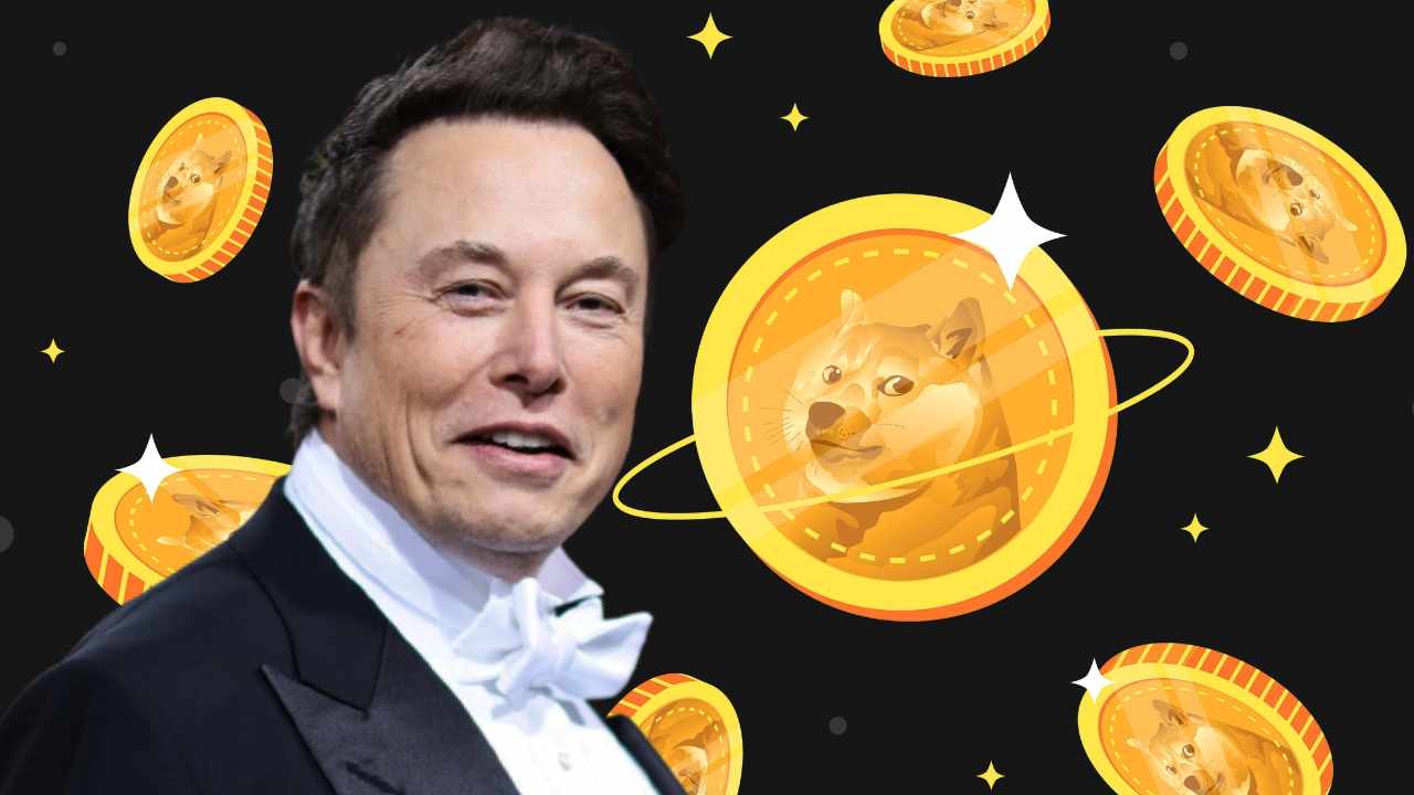 Elon Musk's Dogecoin Plans: What's Next? Elon Musk's Dogecoin Plans: What's Next?