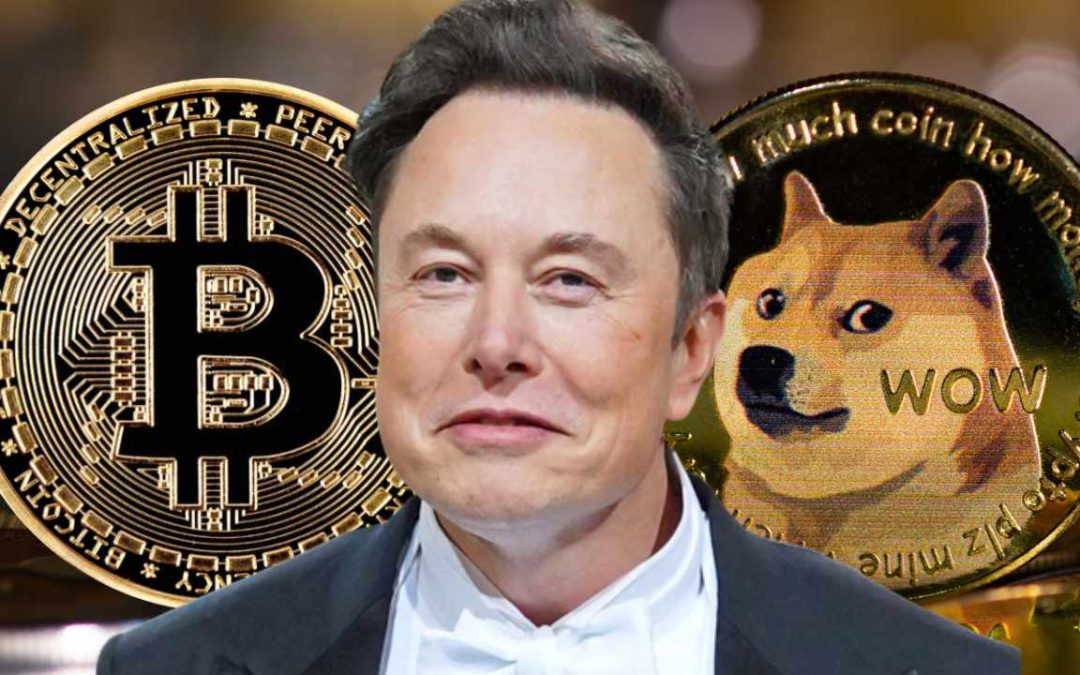 Elon Musk's Dogecoin Stance: A Comprehensive Analysis Elon Musk's Dogecoin Stance: A Comprehensive Analysis