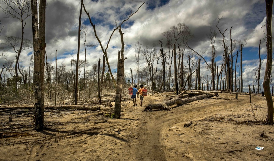 Emergency Mining Ban In Peru: A $200 Million Blow To Gold Output Emergency Mining Ban In Peru: A $200 Million Blow To Gold Output