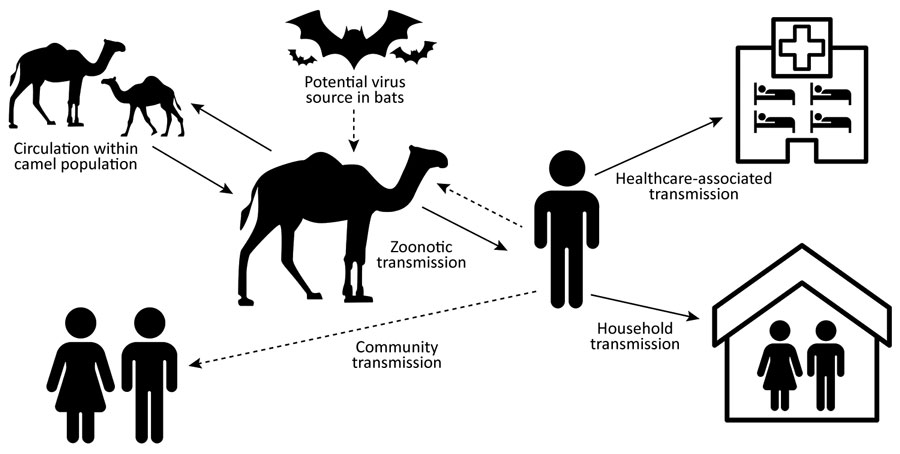 Emerging Evidence: A Single Respiratory Virus Implicated In Kawasaki Disease Emerging Evidence: A Single Respiratory Virus Implicated In Kawasaki Disease