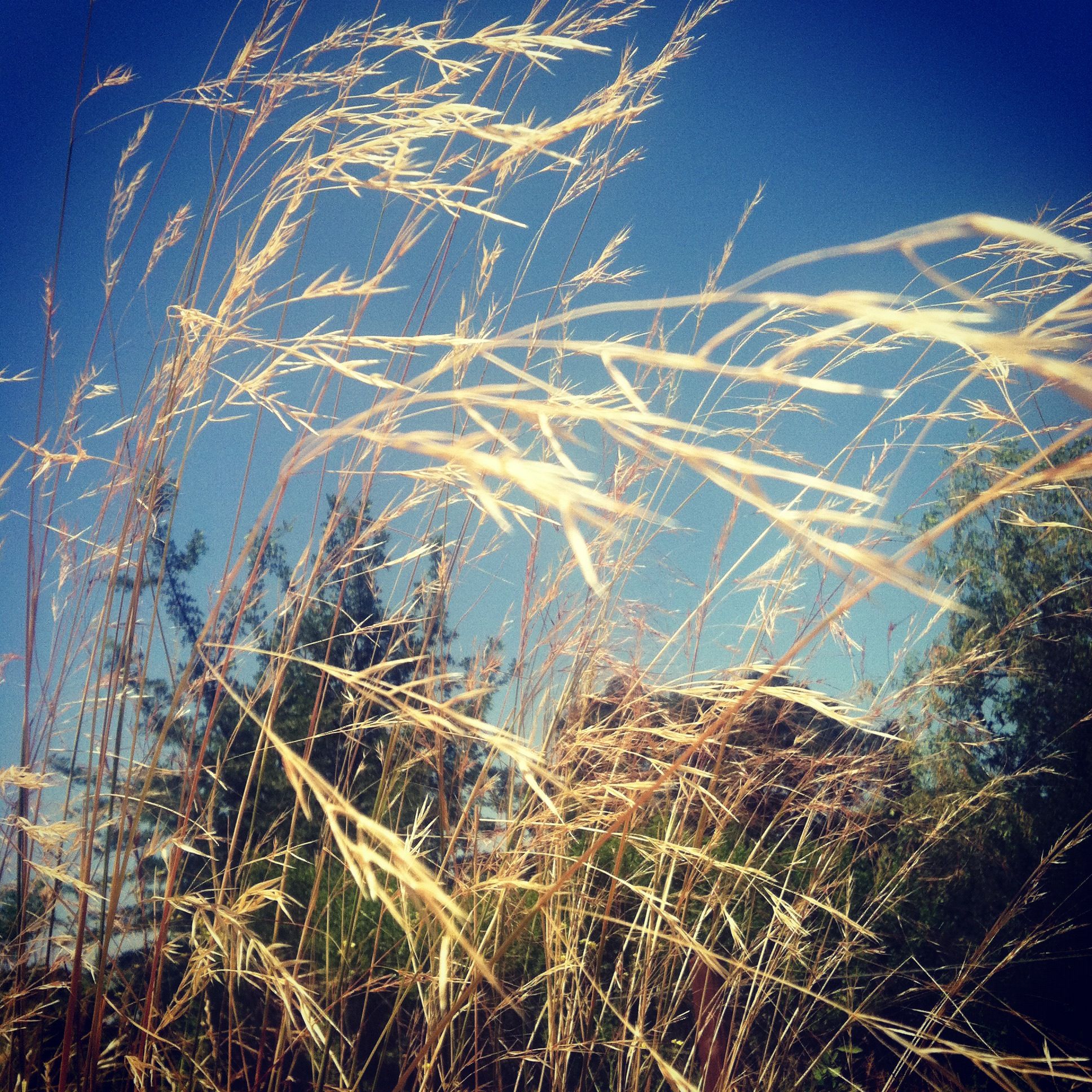 Enjoying Breezy And Mild Days: Activities And Destinations Enjoying Breezy And Mild Days: Activities And Destinations