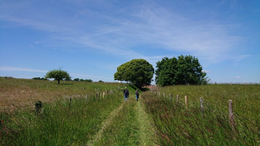 Escape To The Countryside: Choosing The Right Property For You Escape To The Countryside: Choosing The Right Property For You
