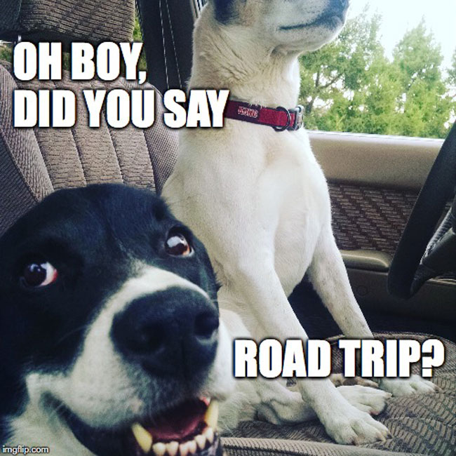Eva Longoria's Hilarious Road Trip Disasters In Eva Longoria's Hilarious Road Trip Disasters In