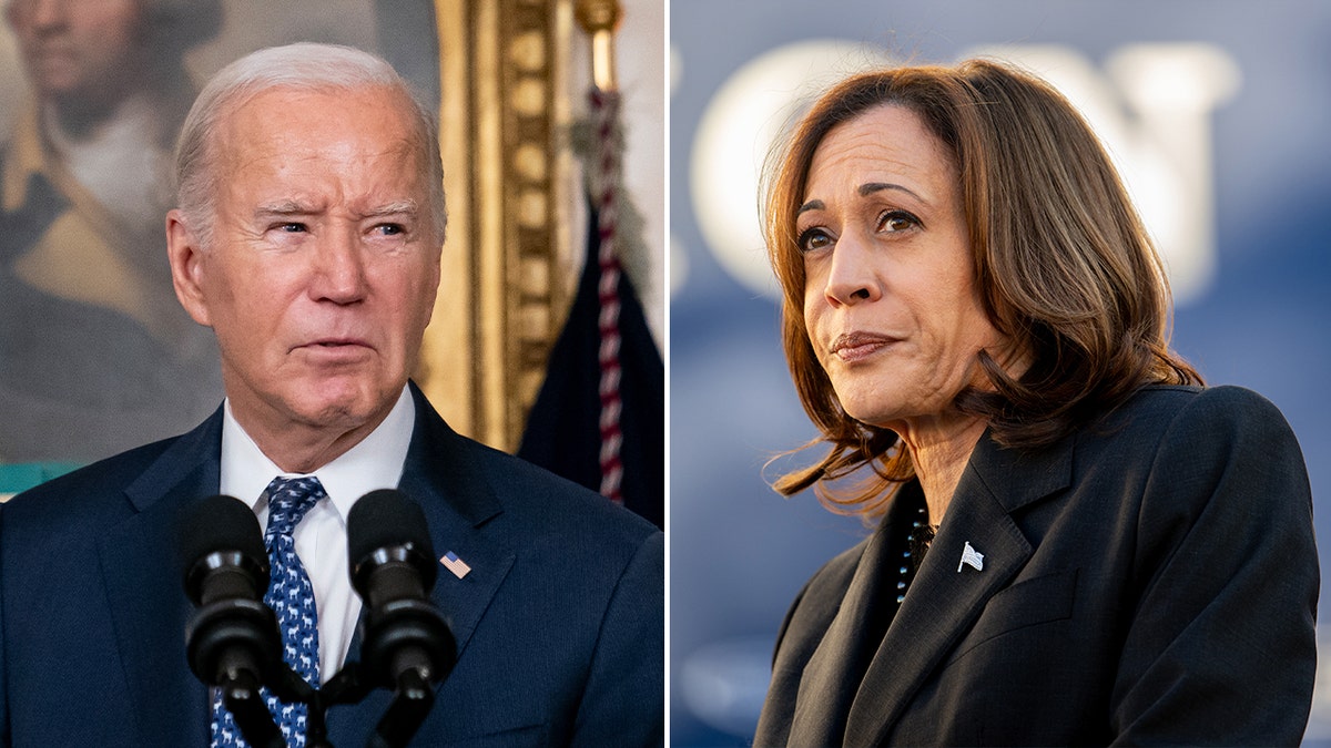 Examining The Hunter Biden Tapes: Implications For Joe Biden's Cognitive Function Examining The Hunter Biden Tapes: Implications For Joe Biden's Cognitive Function