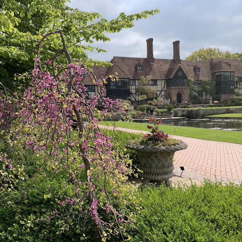 Exceptional Cherry Blossom Season At RHS Wisley Exceptional Cherry Blossom Season At RHS Wisley