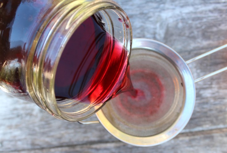 Exploring The Rich Flavors Of Cassis Blackcurrant Liqueur Exploring The Rich Flavors Of Cassis Blackcurrant Liqueur