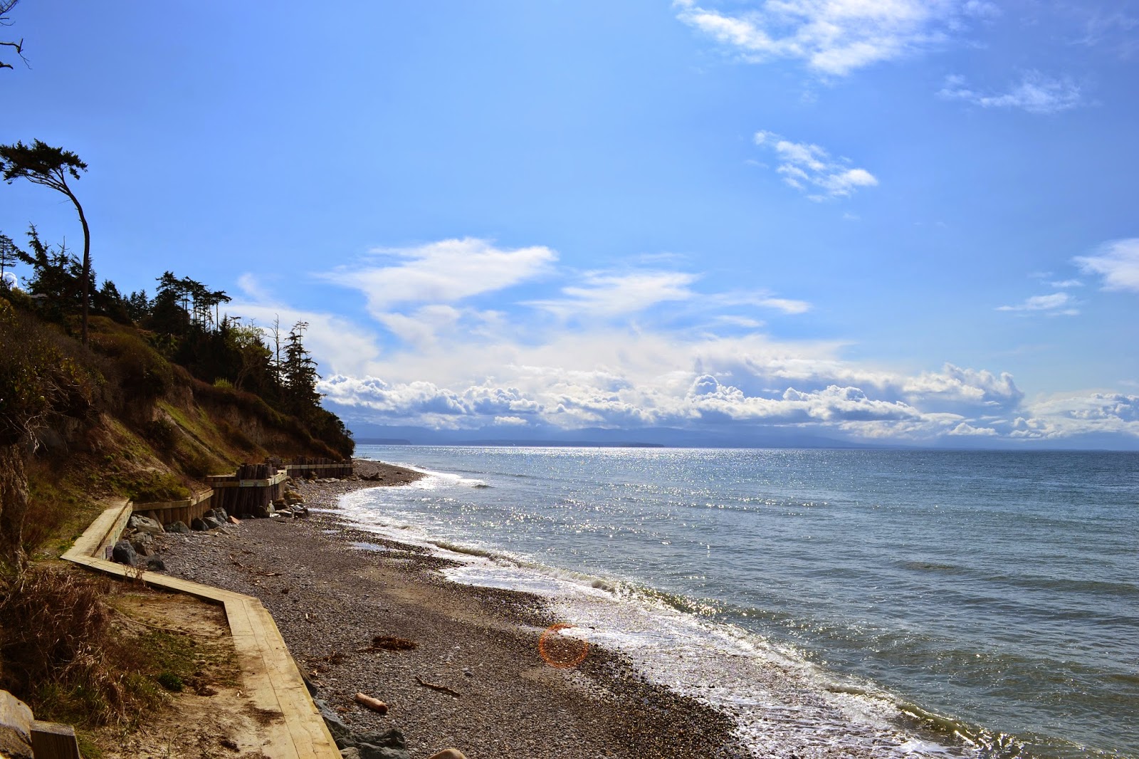 Exploring Whidbey Clams: A Citizen Science Approach