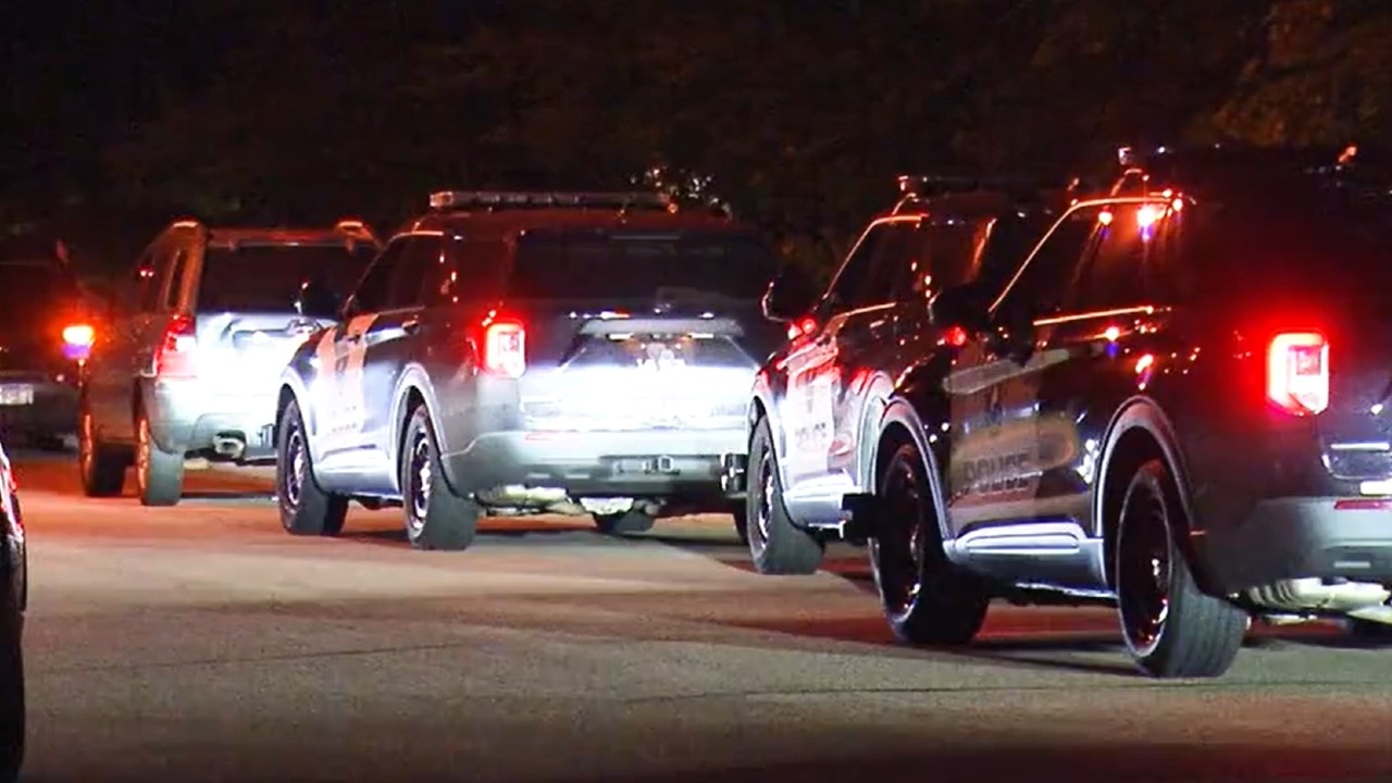 Fatal Shooting In Brooklyn Bridge Park: Police Investigation Fatal Shooting In Brooklyn Bridge Park: Police Investigation