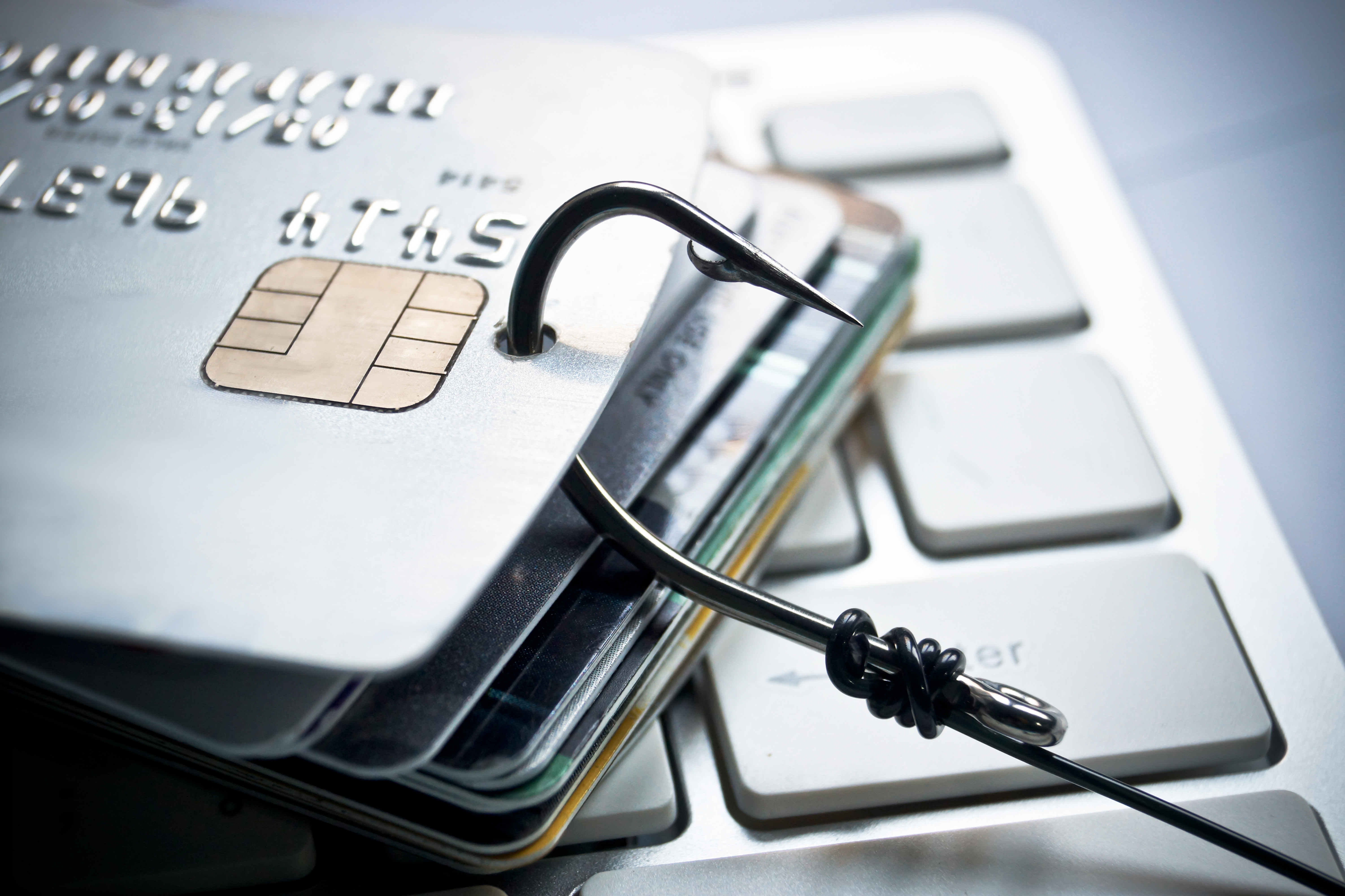 Federal Investigation: Millions Stolen Via Office365 Account Breaches Federal Investigation: Millions Stolen Via Office365 Account Breaches