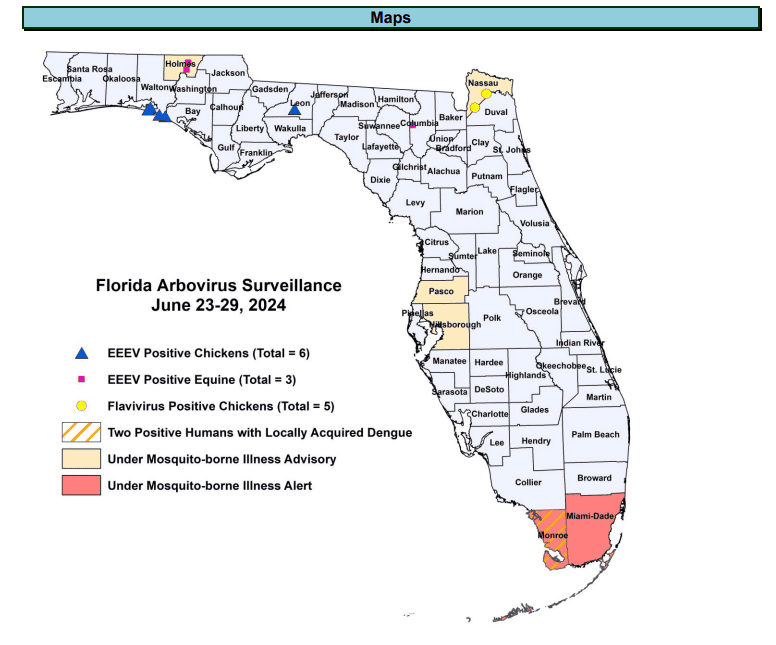 Flash Flood Warning: South Florida Residents Urged To Take Precautions Due To Heavy Rain Flash Flood Warning: South Florida Residents Urged To Take Precautions Due To Heavy Rain