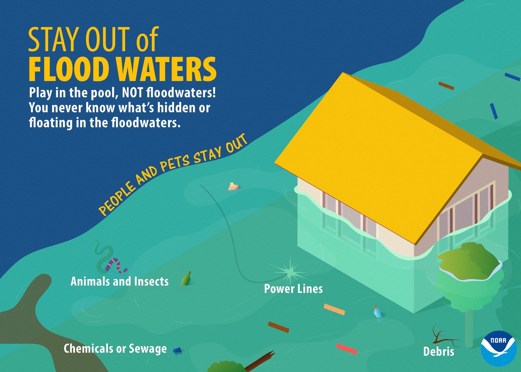 Flash Flood Warning: What To Know & How To Stay Safe