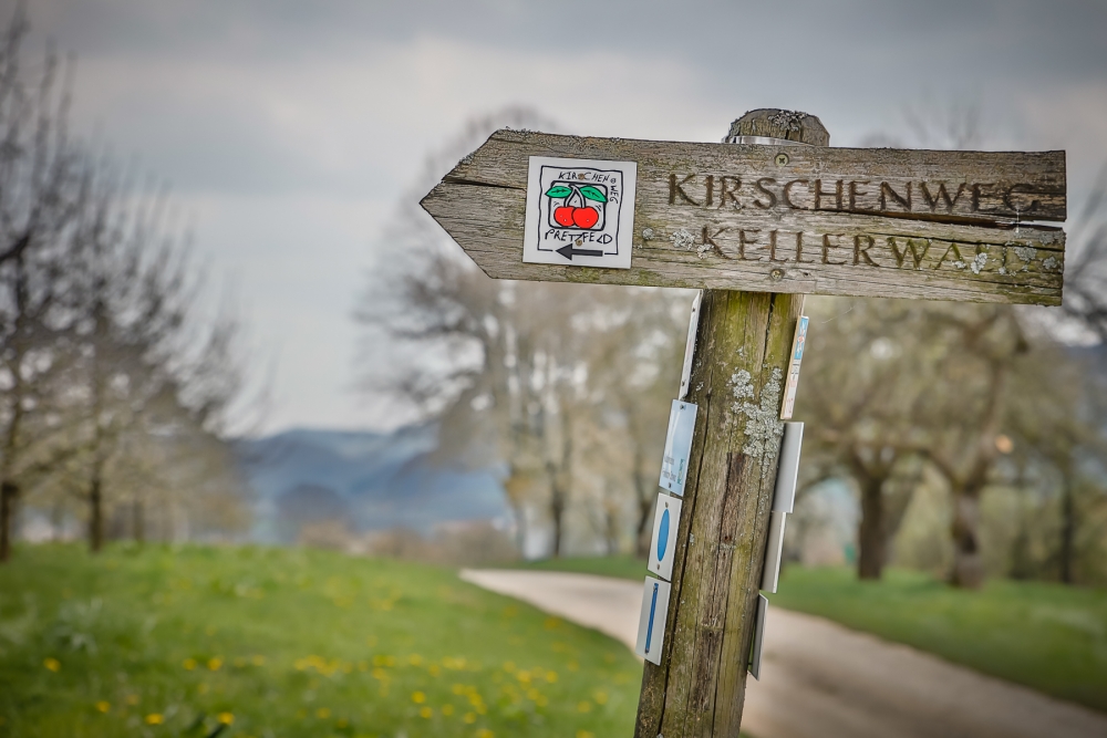 Fränkische Schweiz: Kirschblüte In Pretzfeld – Tipps Für Ihren Besuch Fränkische Schweiz: Kirschblüte In Pretzfeld – Tipps Für Ihren Besuch