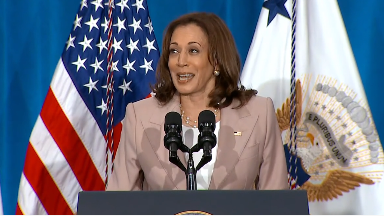From Kamala Harris Influencer To Congressional Candidate: Gen Z's Political Rise From Kamala Harris Influencer To Congressional Candidate: Gen Z's Political Rise