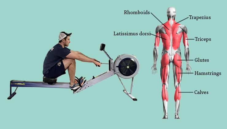 From Rowing Machine To $2.2 Million: A Father's Love From Rowing Machine To $2.2 Million: A Father's Love