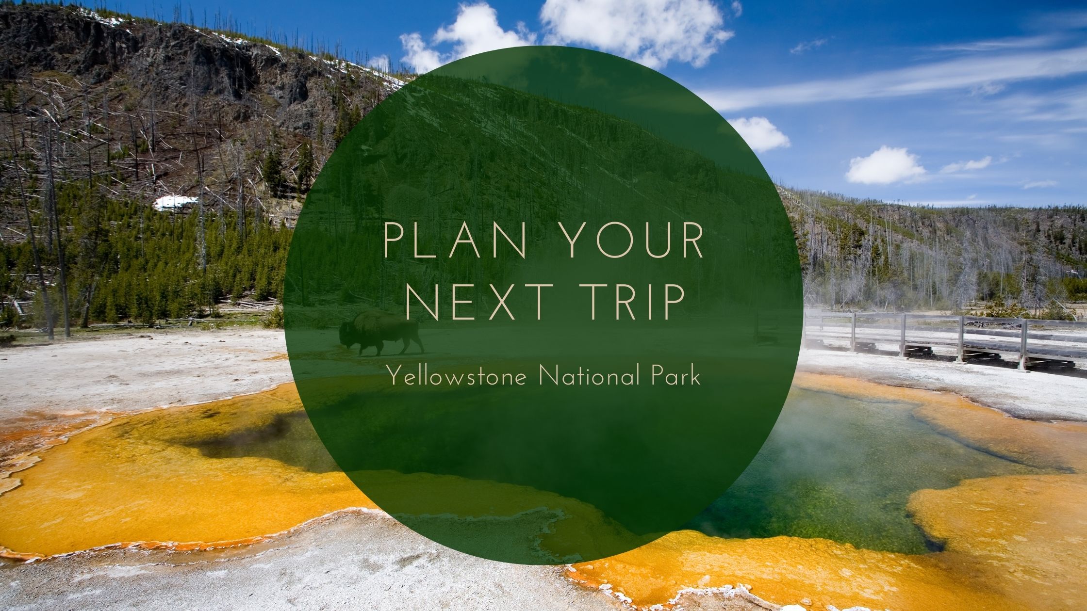 Fun In The Air: Plan Your Next Trip With Flights Fun In The Air: Plan Your Next Trip With Flights