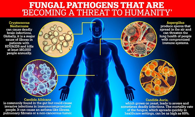 Fungal Infections: A Growing Threat Of Antibiotic Resistance Fungal Infections: A Growing Threat Of Antibiotic Resistance