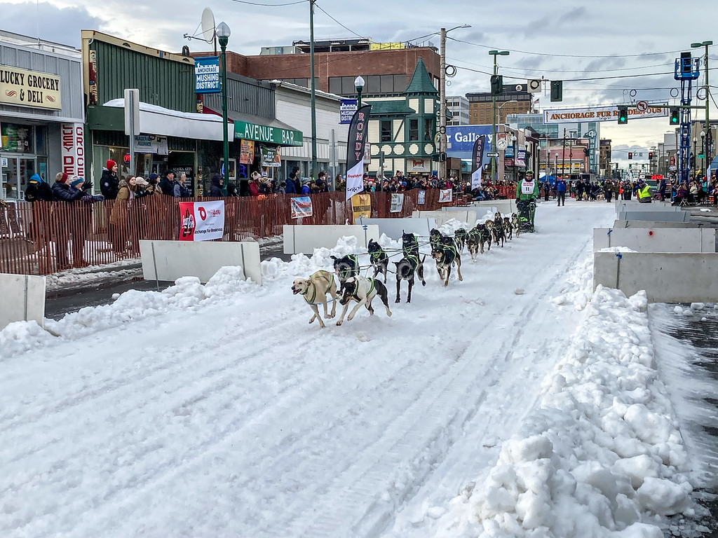 Fur Rondy: A Long Wait, A Short Race, And Unending Determination Fur Rondy: A Long Wait, A Short Race, And Unending Determination