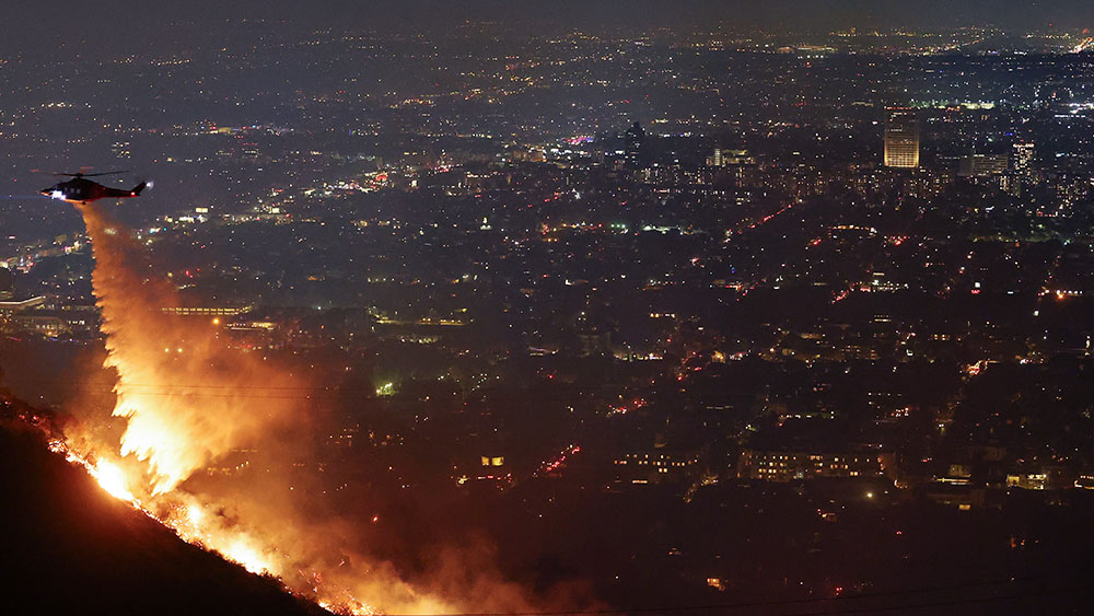 Gambling On Calamity: The Los Angeles Wildfires And The Implications Of Disaster Betting Gambling On Calamity: The Los Angeles Wildfires And The Implications Of Disaster Betting