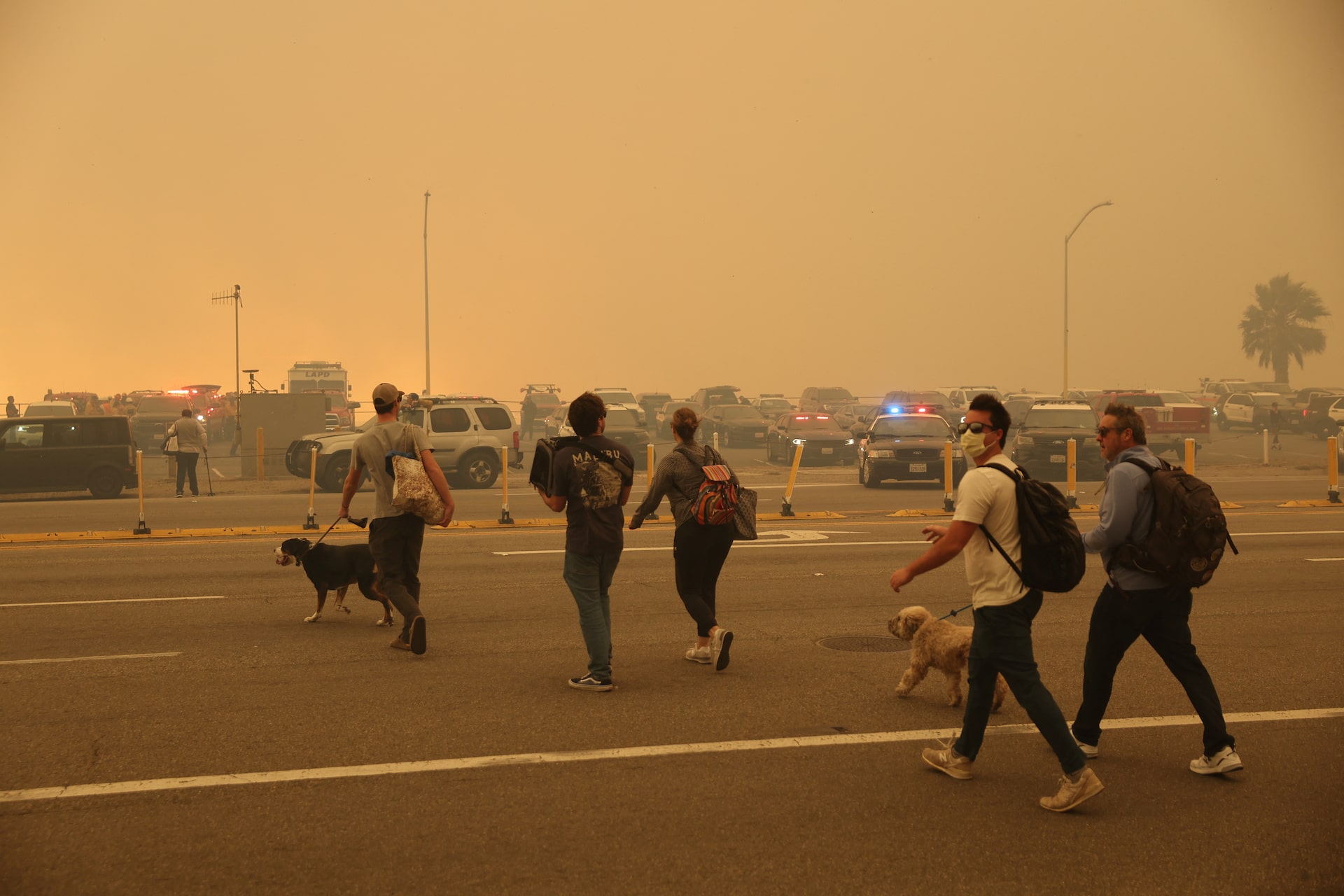 Gambling On Calamity: The Troubling Trend Of Betting On The Los Angeles Wildfires
