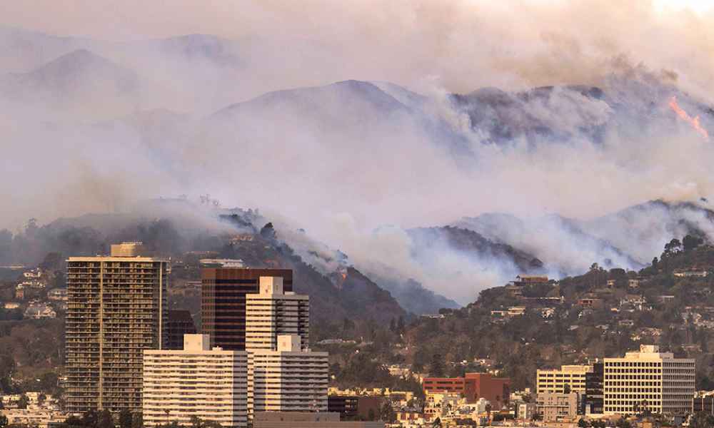 Gambling On Catastrophe: The Los Angeles Wildfires And The Future Of Disaster Bets Gambling On Catastrophe: The Los Angeles Wildfires And The Future Of Disaster Bets