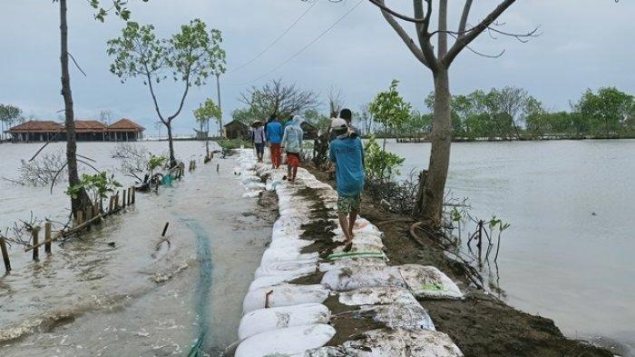 Giant Sea Wall: Proyek Strategis Nasional Untuk Lindungi Warga Pesisir Giant Sea Wall: Proyek Strategis Nasional Untuk Lindungi Warga Pesisir