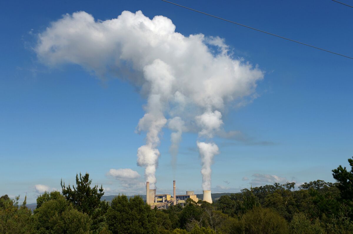 Go Neutral Under Scrutiny: Energy Australia Faces Major Greenwashing Allegations