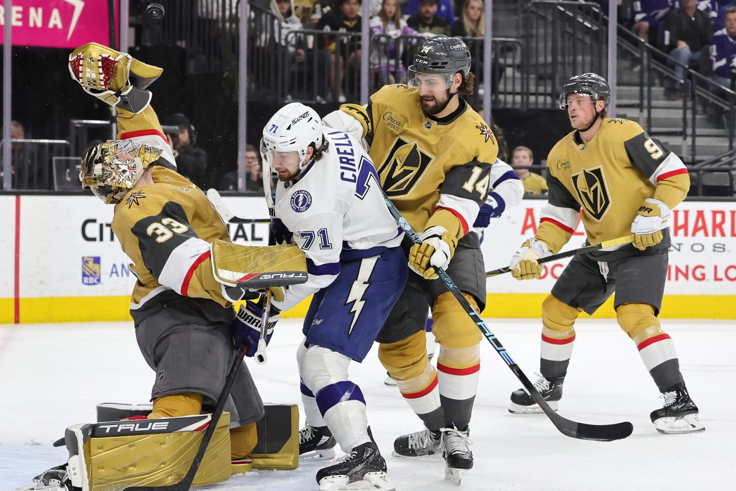 Golden Knights' Win Fueled By Hertl's Double Hat Trick Golden Knights' Win Fueled By Hertl's Double Hat Trick