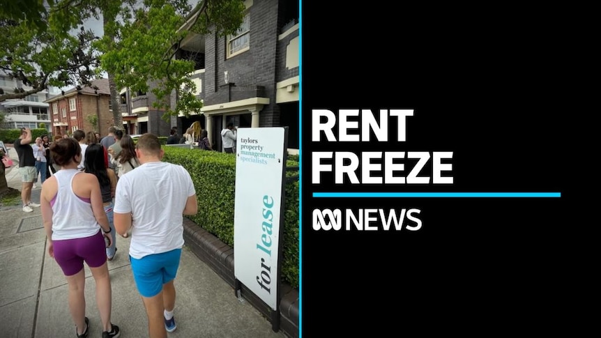 Government Rent Freeze To Cost Housing Corporations €3 Billion Government Rent Freeze To Cost Housing Corporations €3 Billion