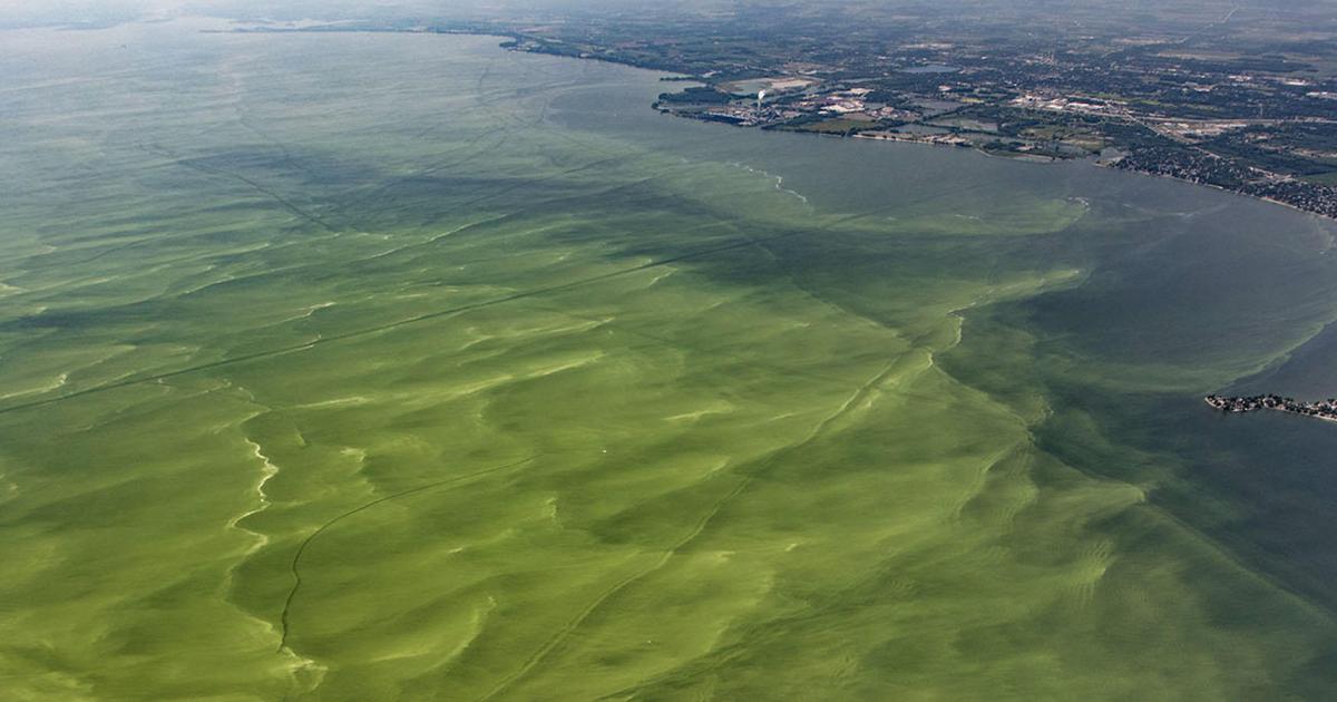 Harmful Algal Blooms Force Renewed Warning For Kodiak Shellfish Harvesters Harmful Algal Blooms Force Renewed Warning For Kodiak Shellfish Harvesters
