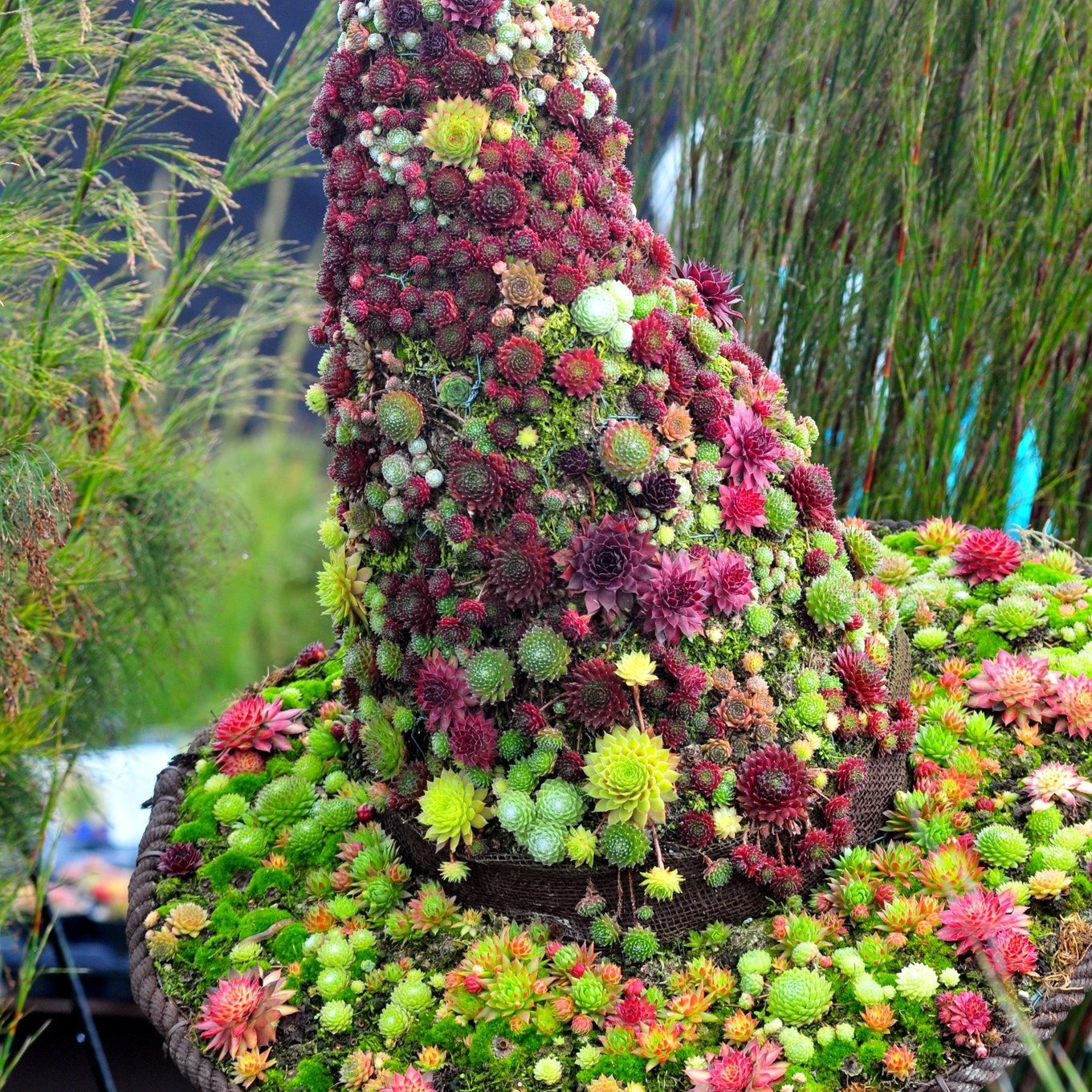 Harrogate Spring Flower Show 2024: Featuring Melissa Morton's Garden Harrogate Spring Flower Show 2024: Featuring Melissa Morton's Garden