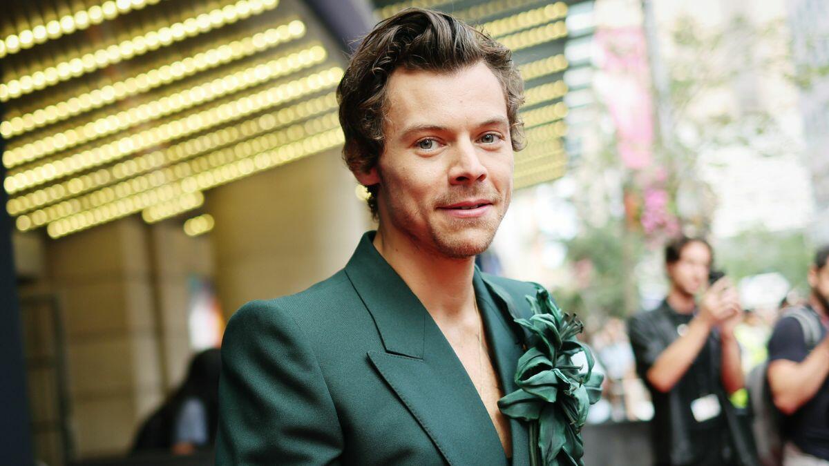 Harry Styles Reacts To Awful SNL Impression: The Full Story Harry Styles Reacts To Awful SNL Impression: The Full Story